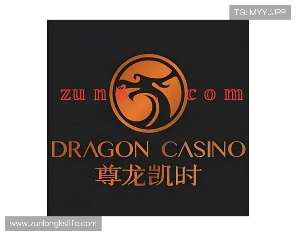 尊龙时凯客服入口最新更新信息，确保玩家第一时间掌握官方客服入口的最新动态