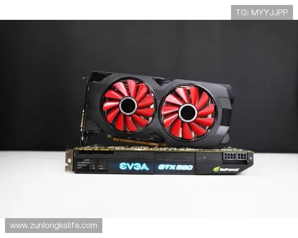 尊龙游戏官方网站多平台兼容支持多设备畅玩游戏的最佳体验指南