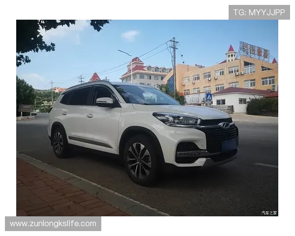 D88尊龙注册过程中遇到问题的快速解决方案与客服联系方式