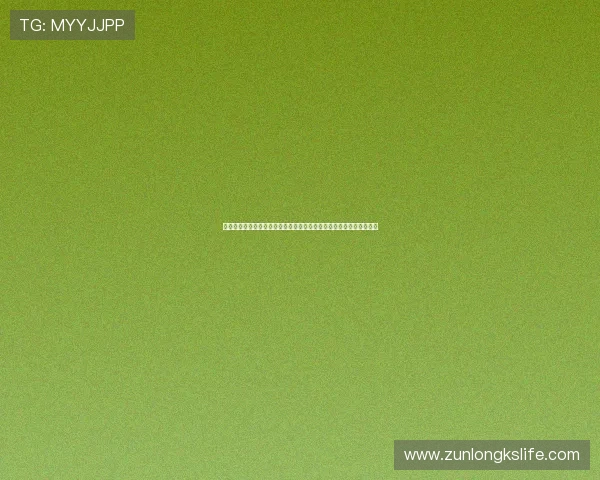 尊博体育会员登录页面详细流程，帮助新用户顺利注册与登录体验提升